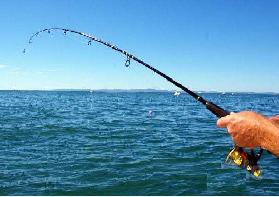 Misina İpi 300 Metre