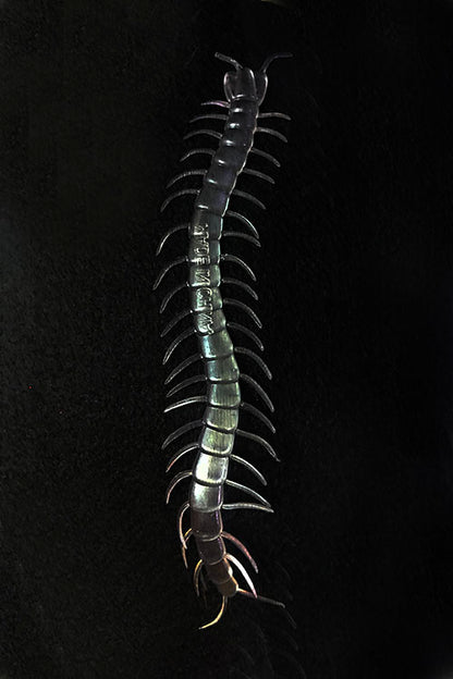 Karanlıkta Parlayan Fosforlu Kırkayak