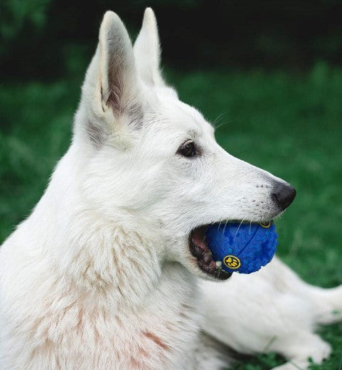 SESLI MAMA OYUN TOPU
