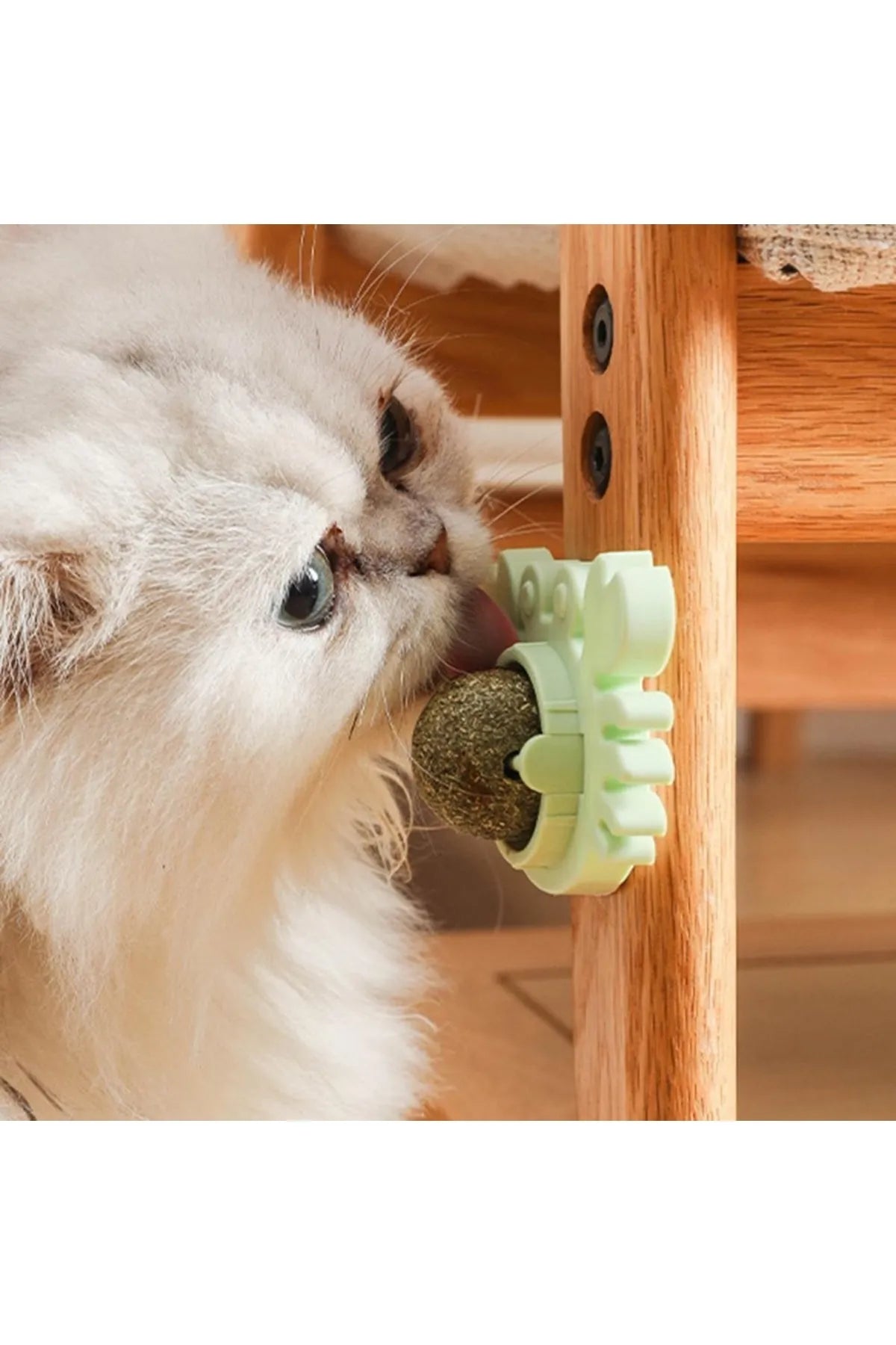 Yengeç Kedi Otu Oyun Topu